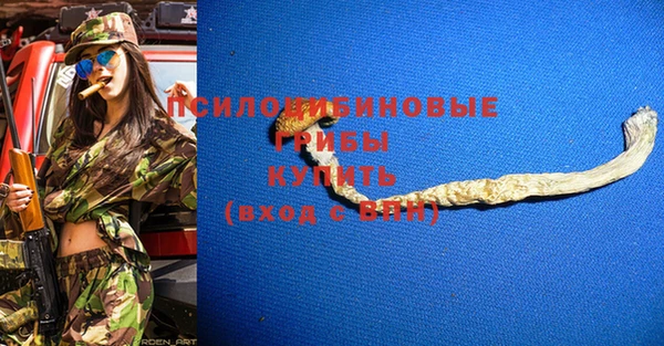 гидра Алексин