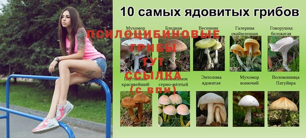 ешки Абдулино