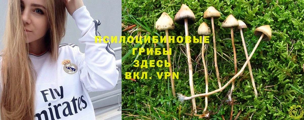 синтетический гашиш Абинск
